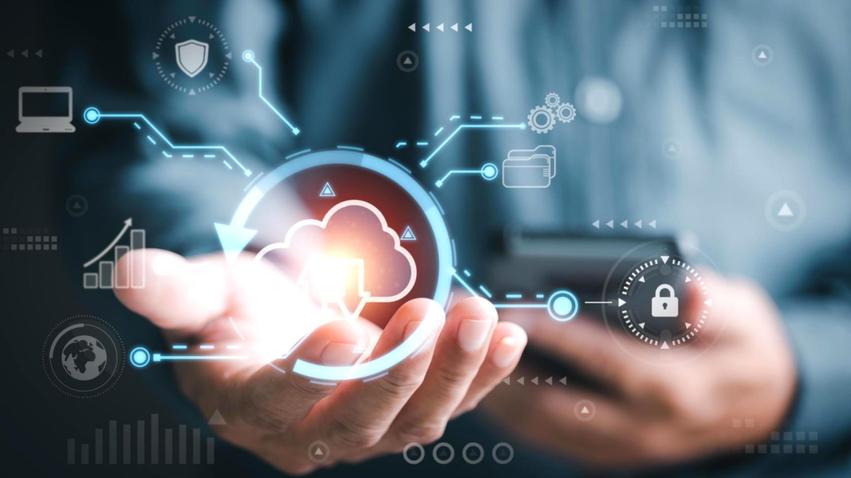 Partner organization workspace